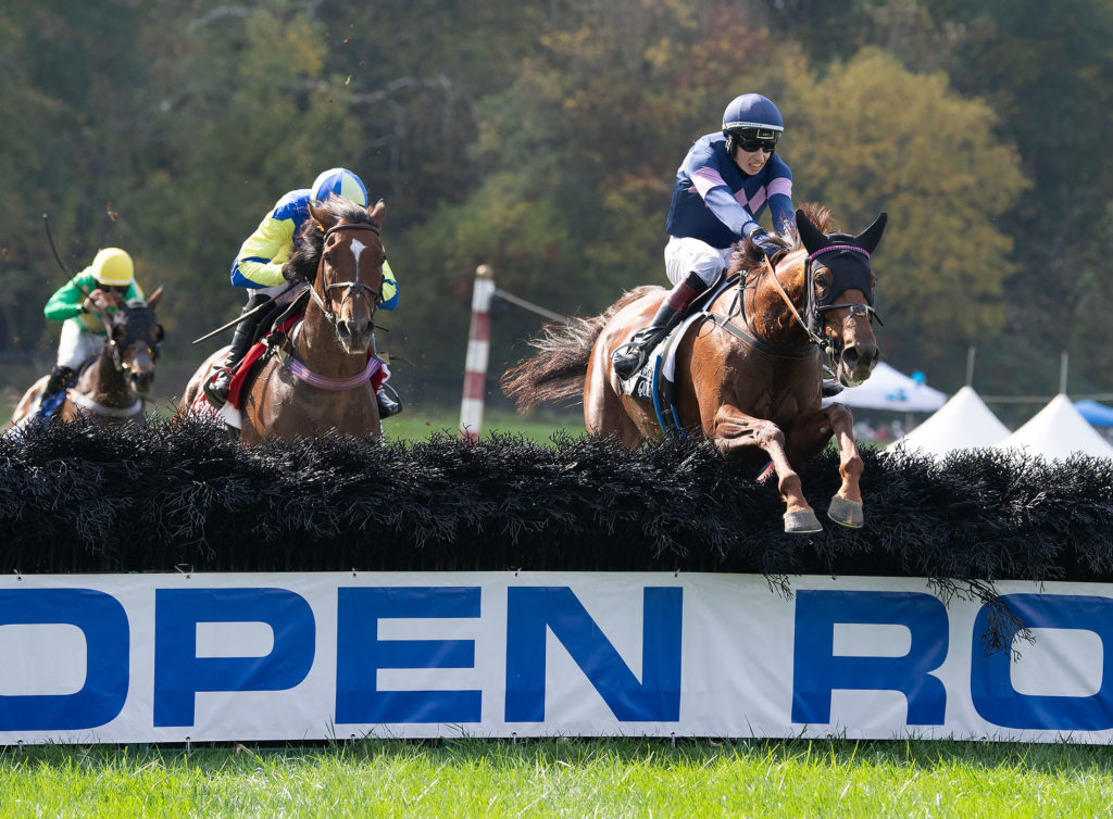 Lonesome Glory & William Entenmann preview National Steeplechase