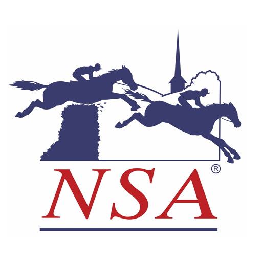 Stierhoff, Mullins added to NSA board