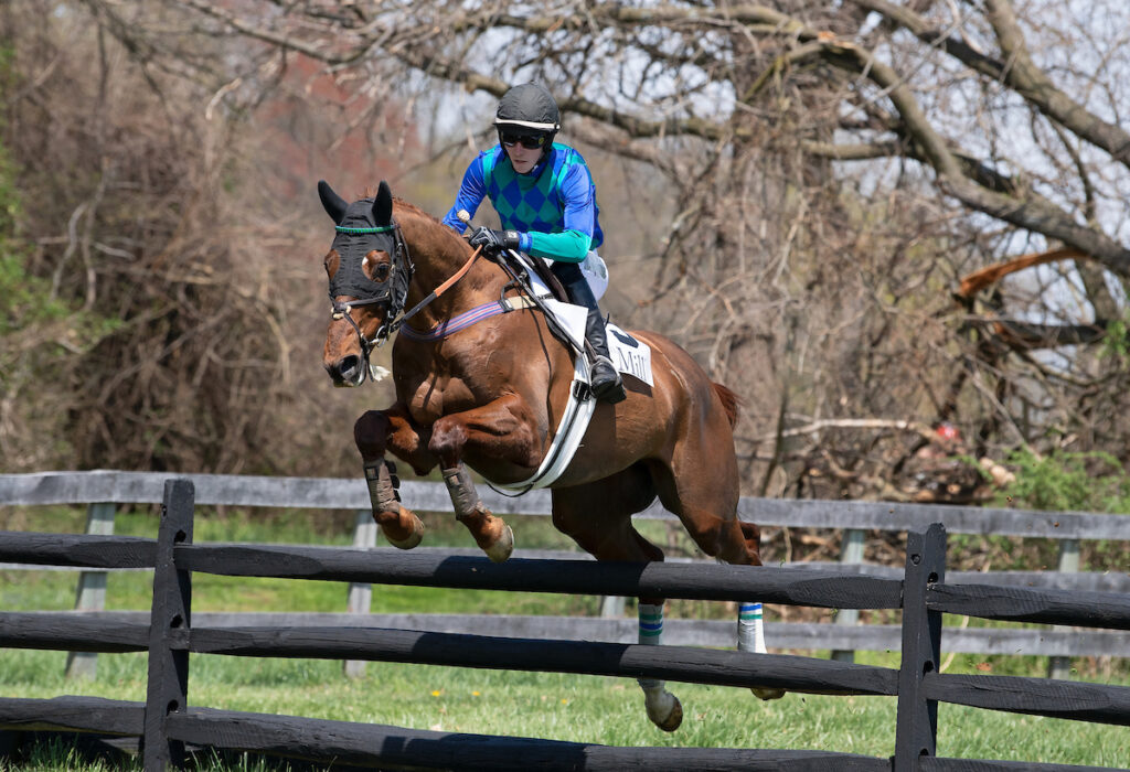 My Lady’s Manor, Tryon Block House recap National Steeplechase
