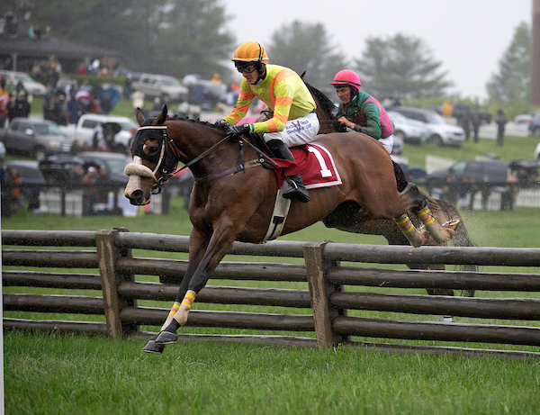 Virginia Gold Cup, Winterthur Point to Point recap