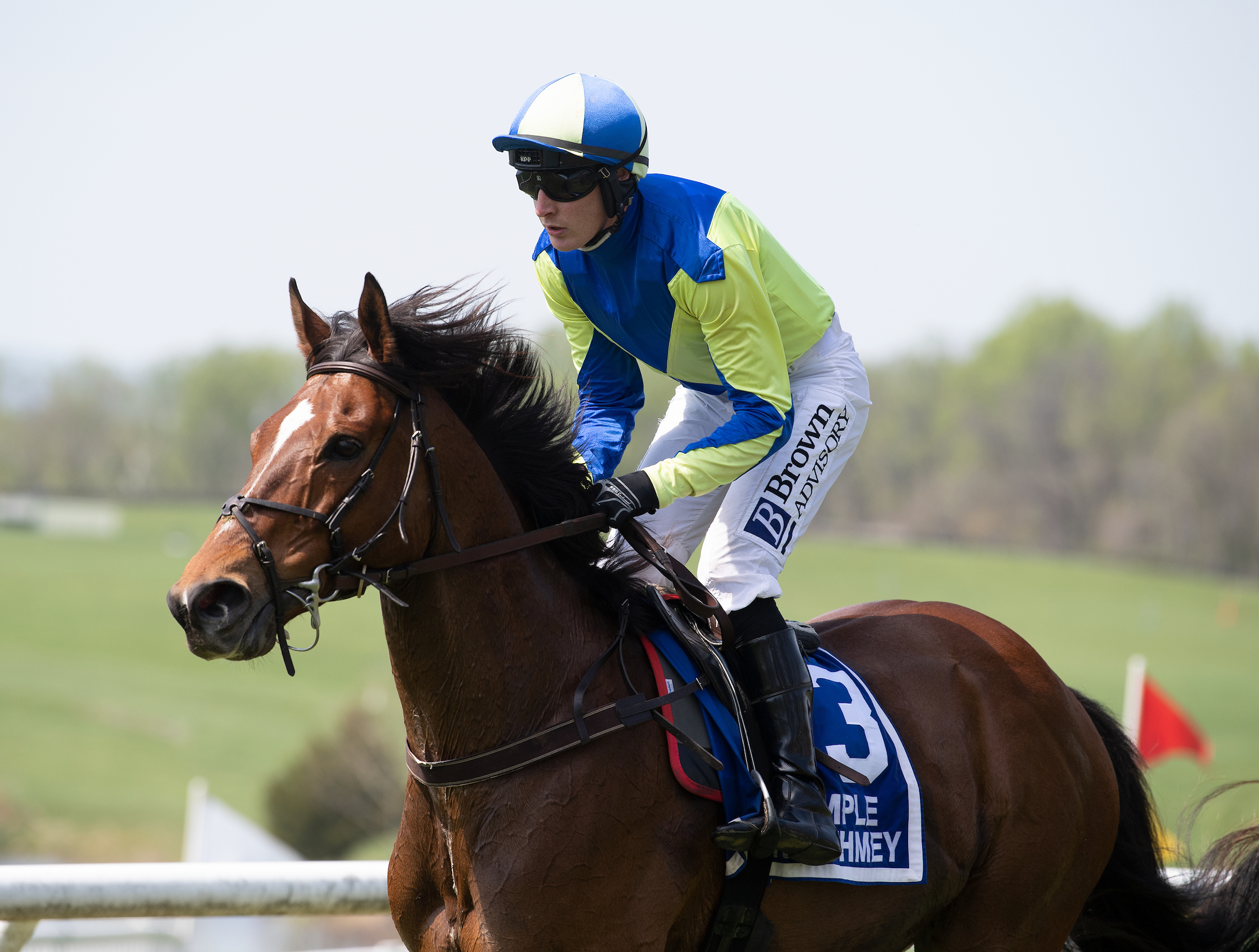 Middleburg, Grand National preview National Steeplechase Association