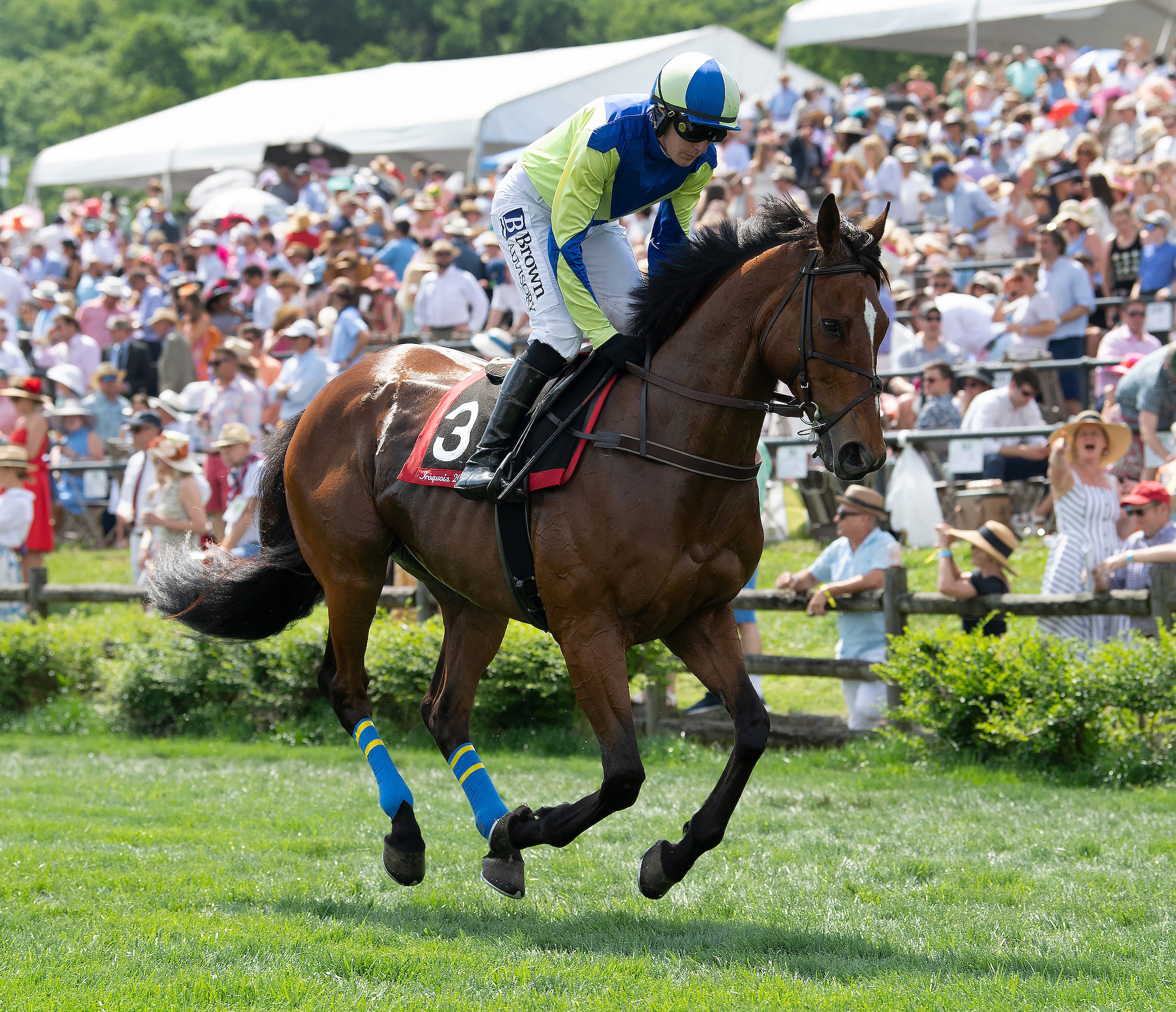 Iroquois, Willowdale preview – National Steeplechase Association