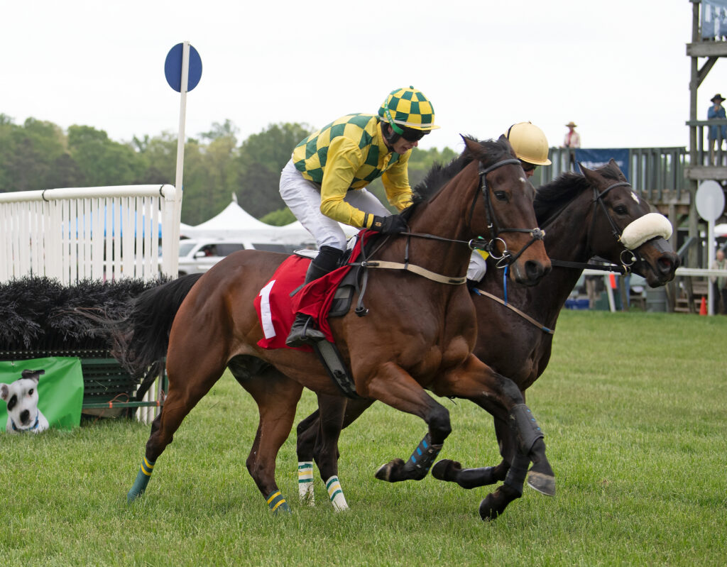 Photo of horses running