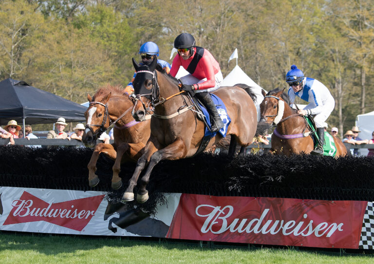 Huge crowd turns out for season opener at Aiken - National Steeplechase ...